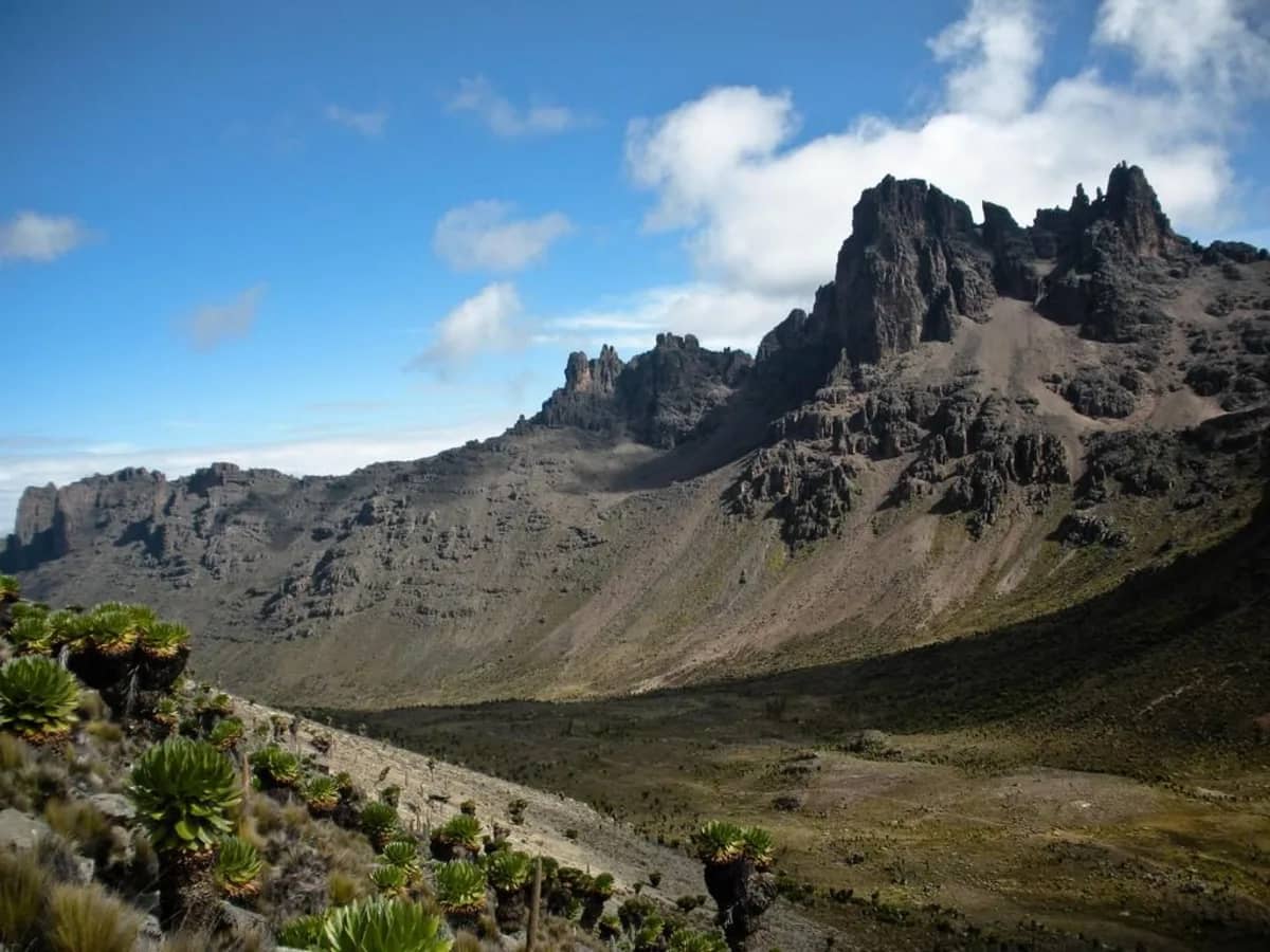 Mountain valley and peaks