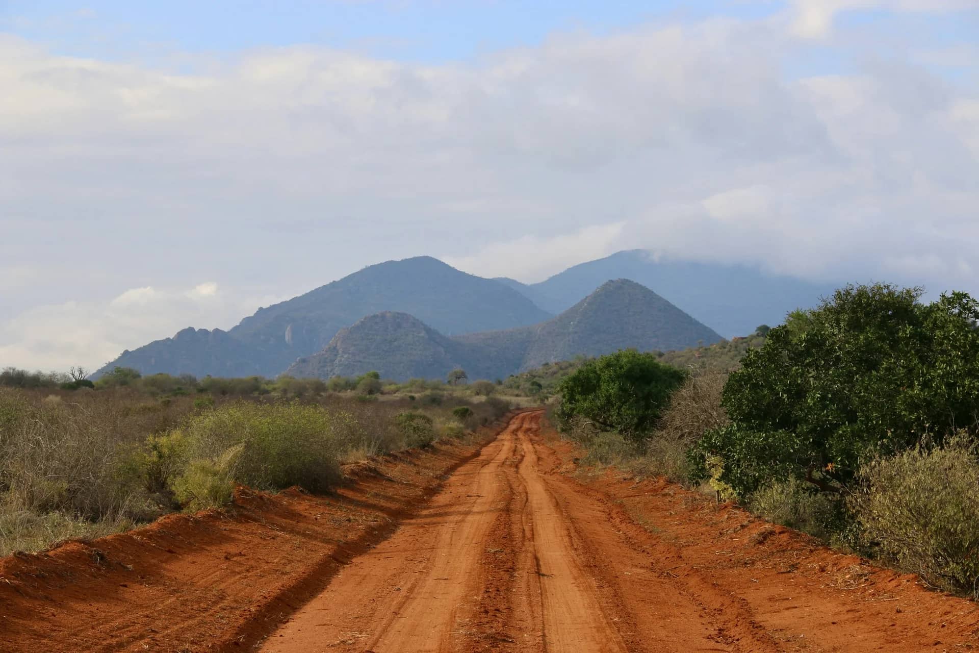 Red-earth safari road leading towards hills in Tsavo