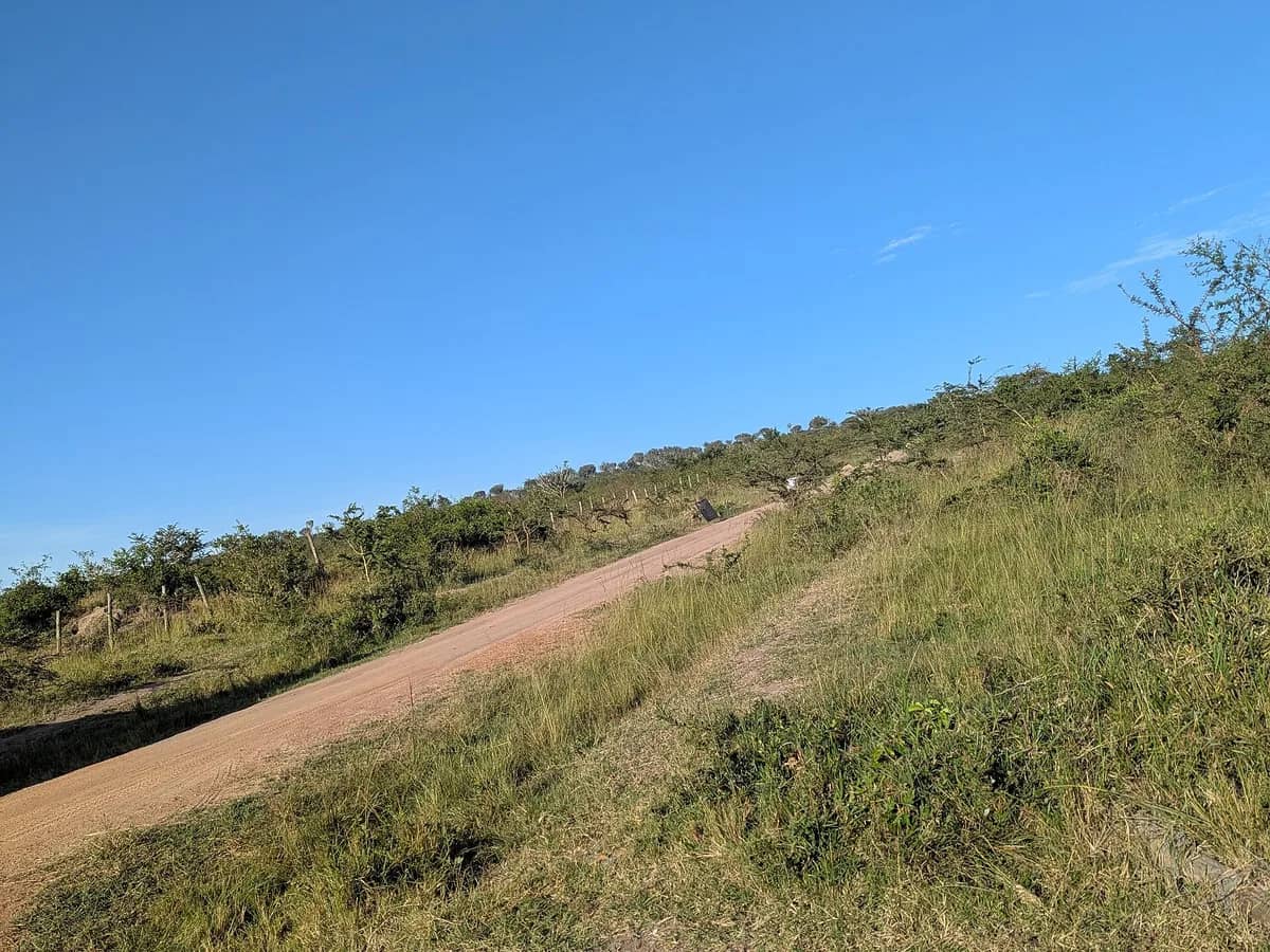 Hillside track through Lake Mburo National Park
