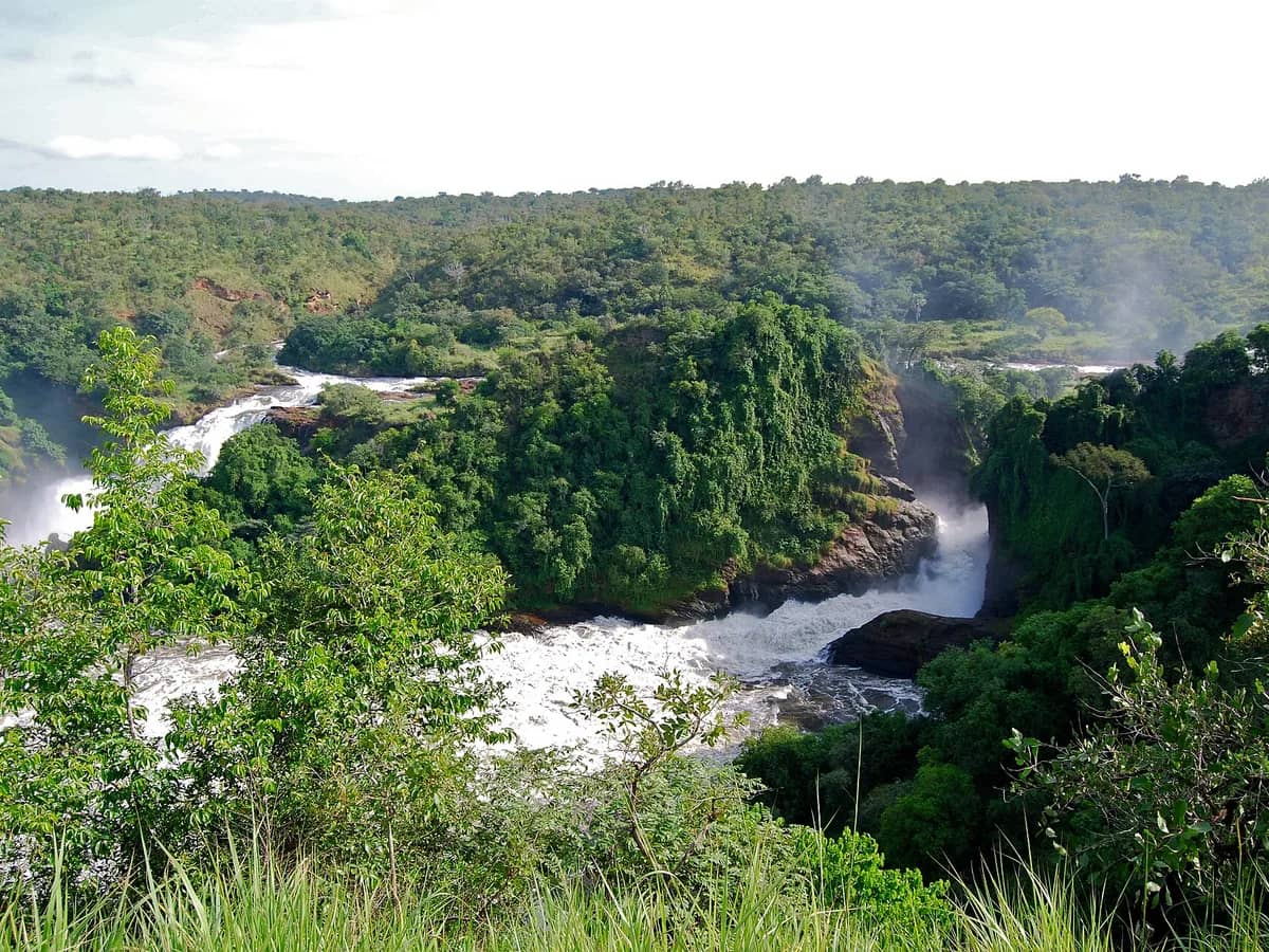 Murchison Falls and the Nile winding through green woodland