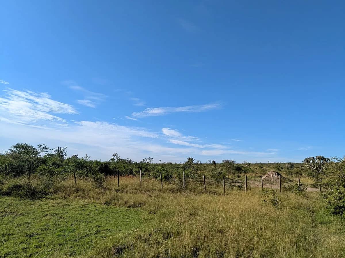 Open grasslands of Lake Mburo National Park