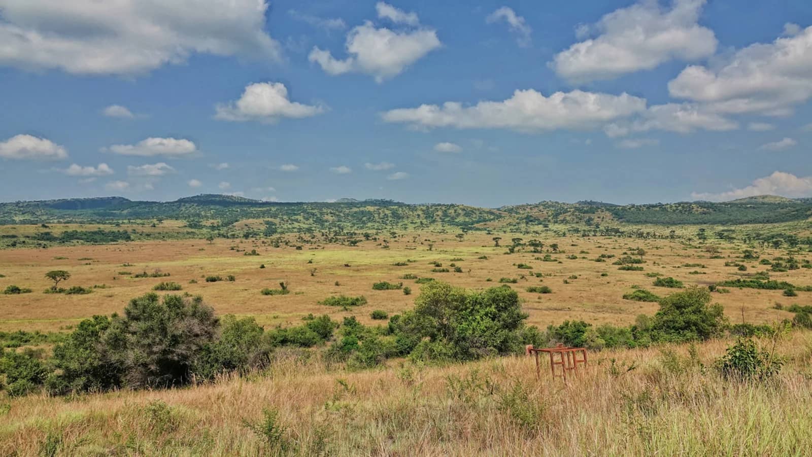 Open savannah and rolling hills in Queen Elizabeth National Park