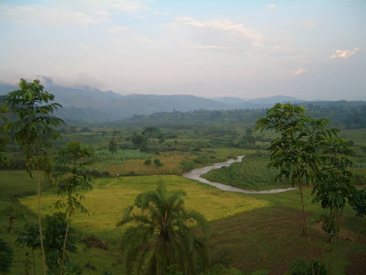 River valley and rainforest hills near Bwindi
