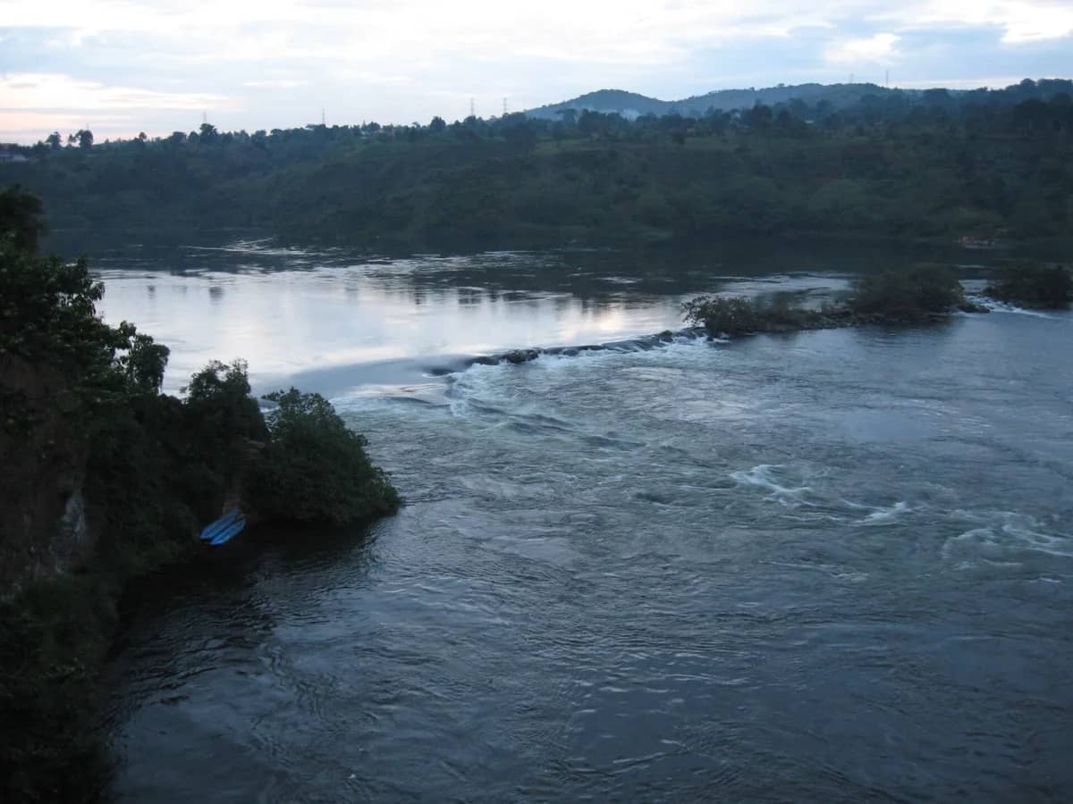 The Nile flowing past forested banks at Jinja