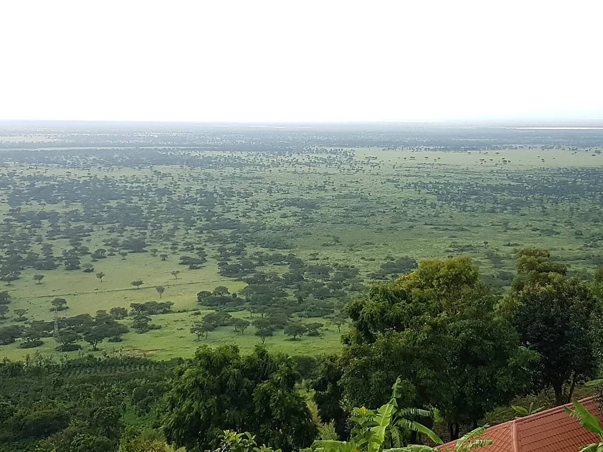 Wide savannah in Queen Elizabeth National Park