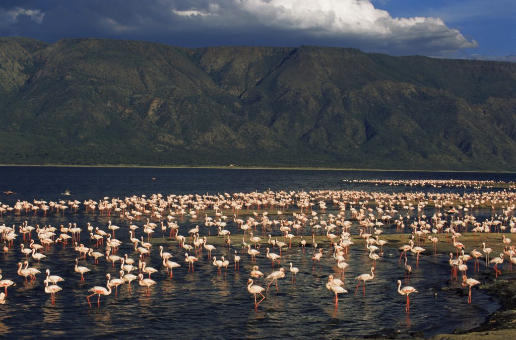 lake natron hotels lake natron hotels