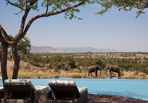 Tanzania Lodge Safaris