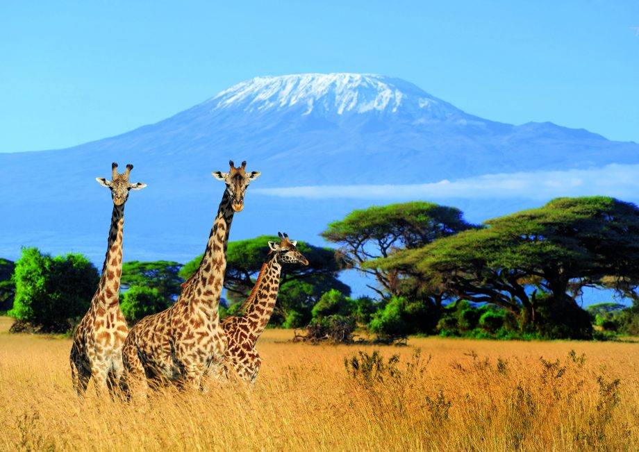 tanzania and kenya tours