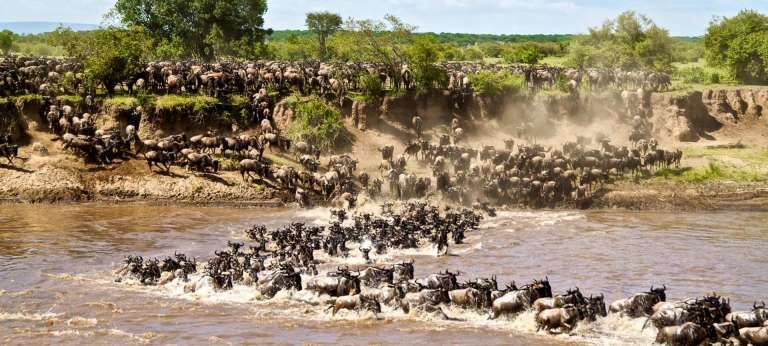 3 days masai mara safari package