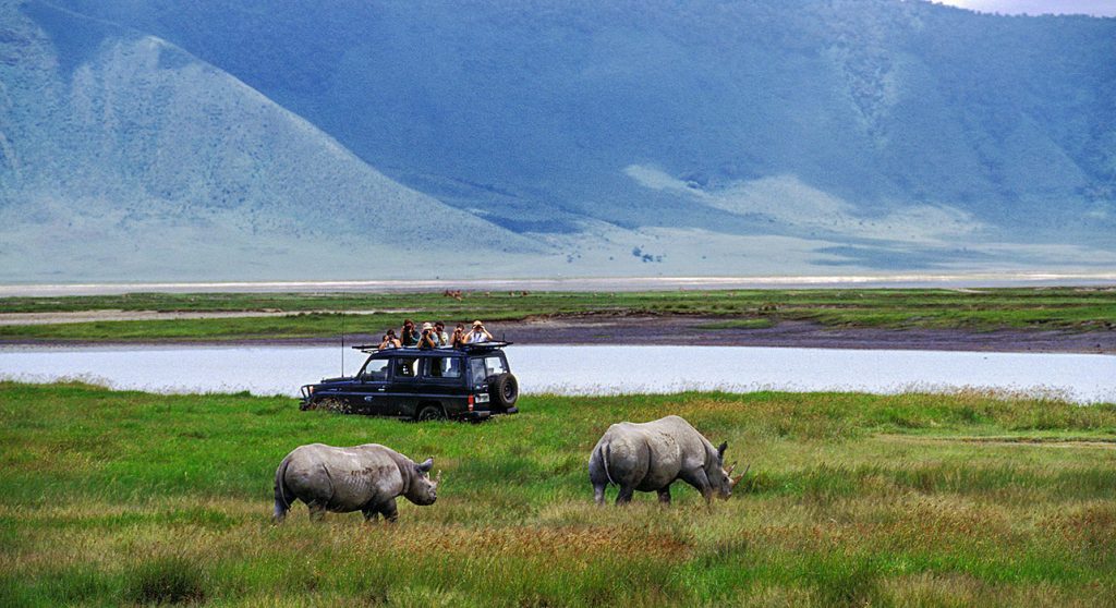 3 day budget safari tanzania