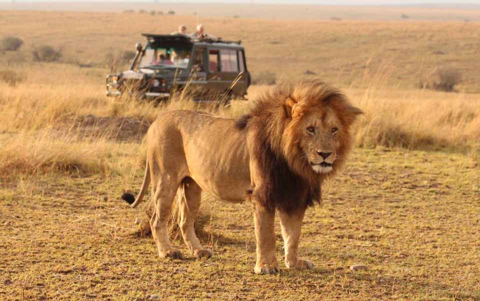 6 days Kenya budget safari